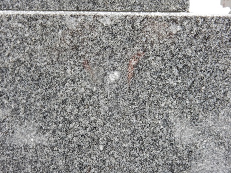 墓石２.JPGのサムネイル画像